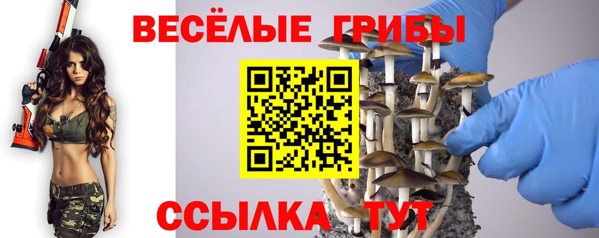Псилоцибиновые грибы GOLDEN TEACHER  Вход с VPN  Асино  Псилоцибиновые грибы ЛСД 